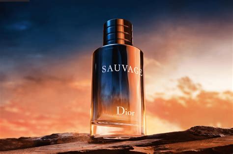 what cologne smells like sauvage|cheap sauvage dior cologne.